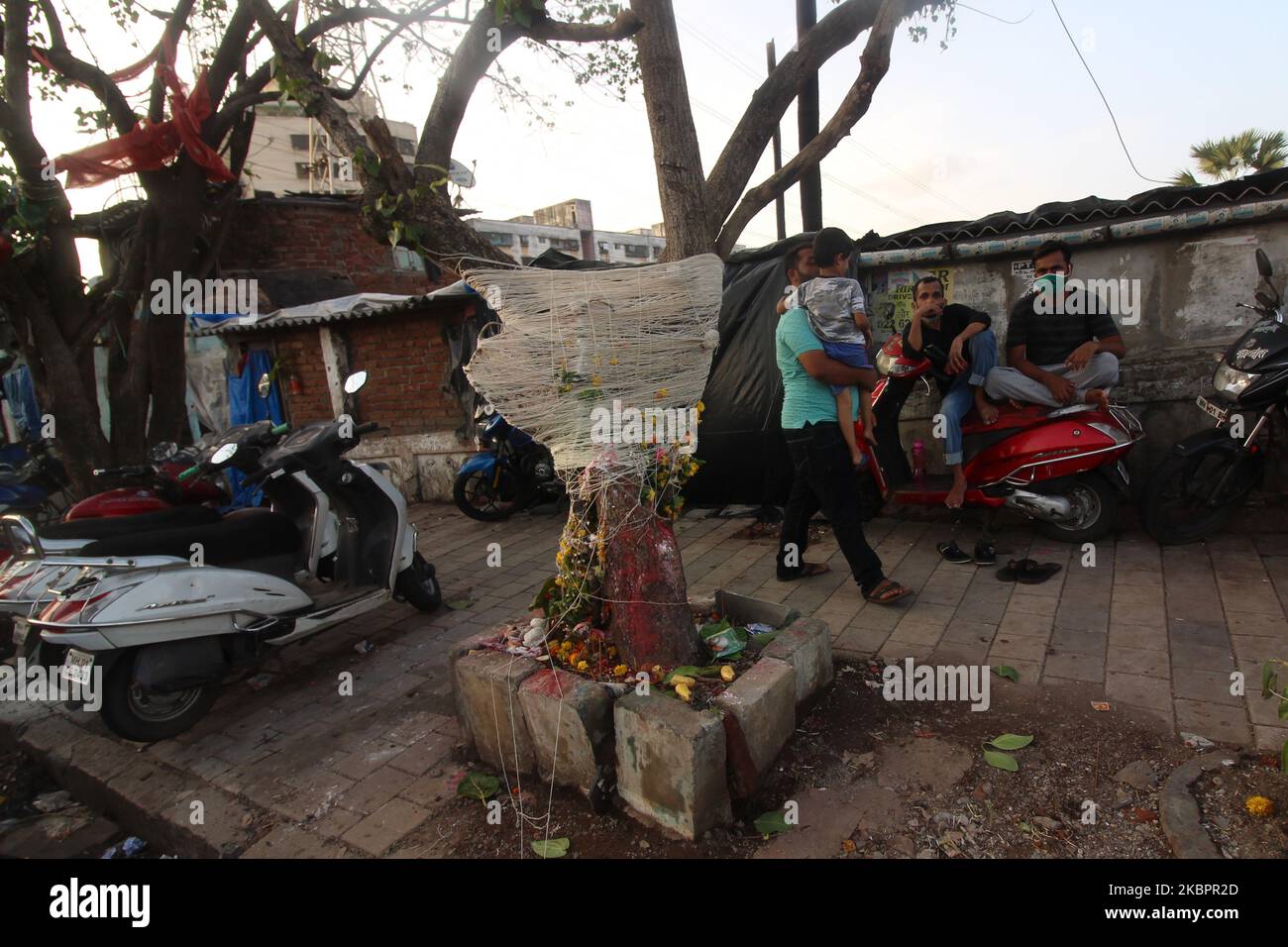 Der Faden um einen banyan-Baum wird während des hinduistischen religiösen Festivals von Vata Savitri Purnima in Mumbai, Indien, am 05. Juni 2020 gesehen. An diesem Tag beobachten verheiratete Frauen das Fasten und beten für das Wohlergehen ihrer Ehemänner. (Foto von Himanshu Bhatt/NurPhoto) Stockfoto