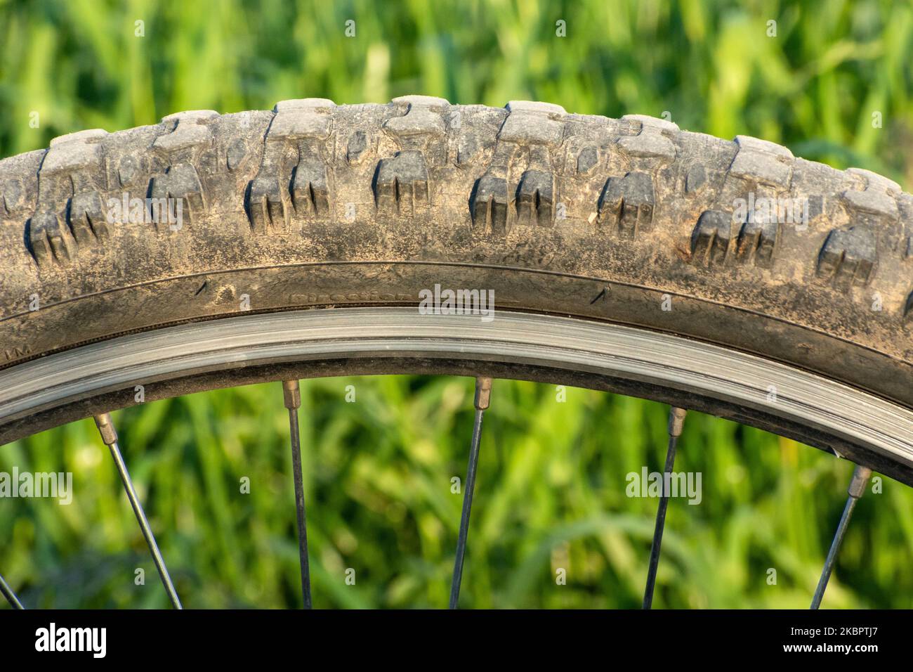 Nahaufnahme eines schmutzigen Fahrradrades mit Reifen und Speichen Stockfoto