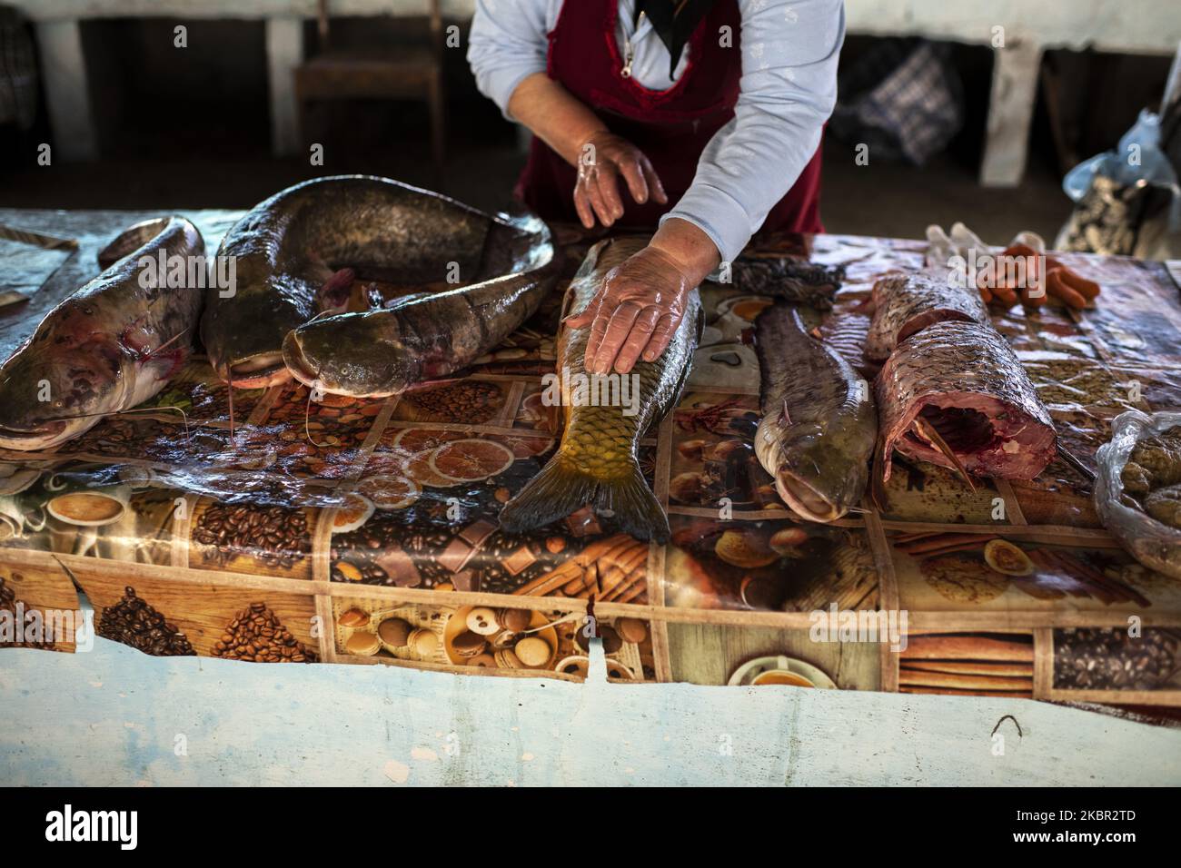 Der Markt von Vylkove, Oblast Odessa, Ukraine, im Juni 2020. Vylkove (oder Vilkovo) ist eine Stadt im ukrainischen Teil des Donaudeltas, an der Grenze zu Rumänien. Die Straßen von Vilkovo bestehen aus einem Netz von zahlreichen Bächen und schiffbaren Kanälen, durch die sich die Bewohner auf ihren Booten bewegen. (Foto von Oleksandr Rupeta/NurPhoto) Stockfoto
