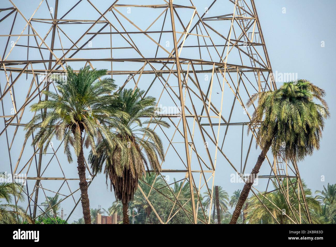 Nahaufnahme von Abschnitten der Basis eines Hochspannungsmasten gegen einen blauen Himmel, umgeben von Palmen Stockfoto