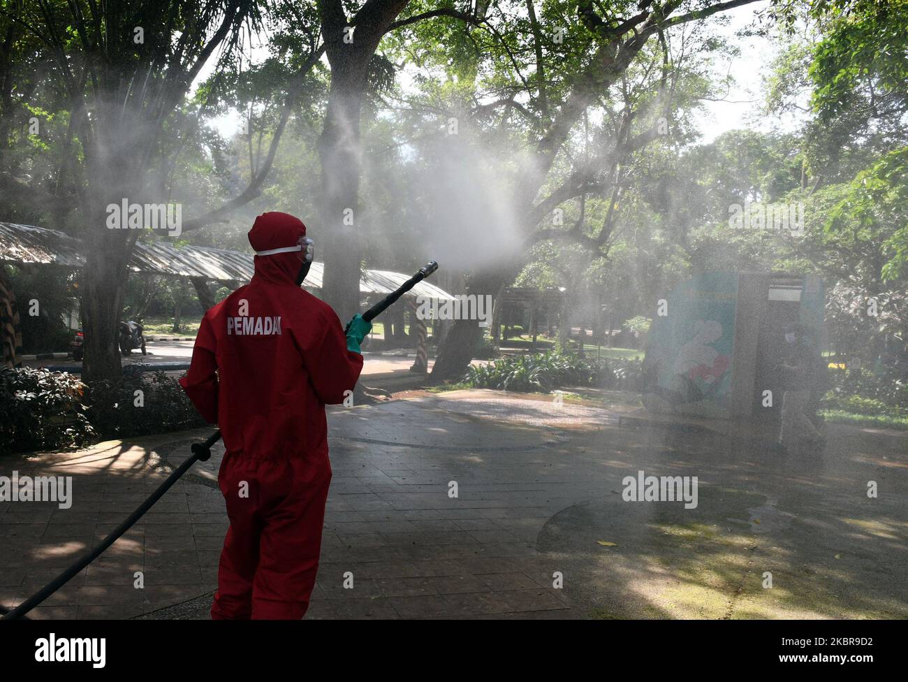 Am 17. Juni 2020 wird der Feuerwehr- und Rettungsdienst von Jakarta Desinfektionsmittel im Zoo von Ragunan sprühen. Der Feuerwehrdienst setzte 9 Einheiten von Feuerwehrautos, 13 tragbare Sprühgeräte und 89 Mitarbeiter ein, um die Ausbreitung des Covid-19-Virus vor der Tour im Juni 20, 2020 zu verhindern. (Foto von Dasril Roszandi/NurPhoto) Stockfoto