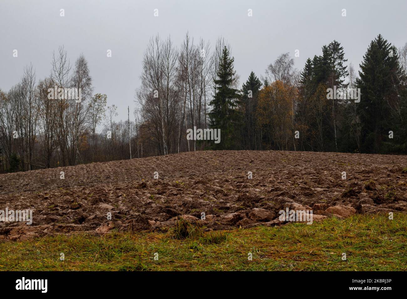 Gepflügte Feld in Lettland im Herbst Stockfoto