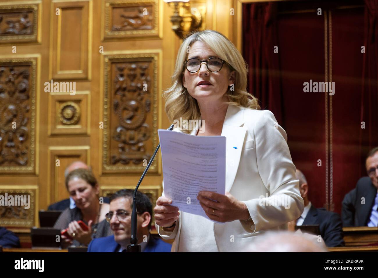 Die französische Senatorin Celine Boulay-Esperonnier spricht auf der wöchentlichen Fragestunde für die Regierung im französischen Senat - 24. Juni 2020, Paris (Foto: Daniel Pier/NurPhoto) Stockfoto