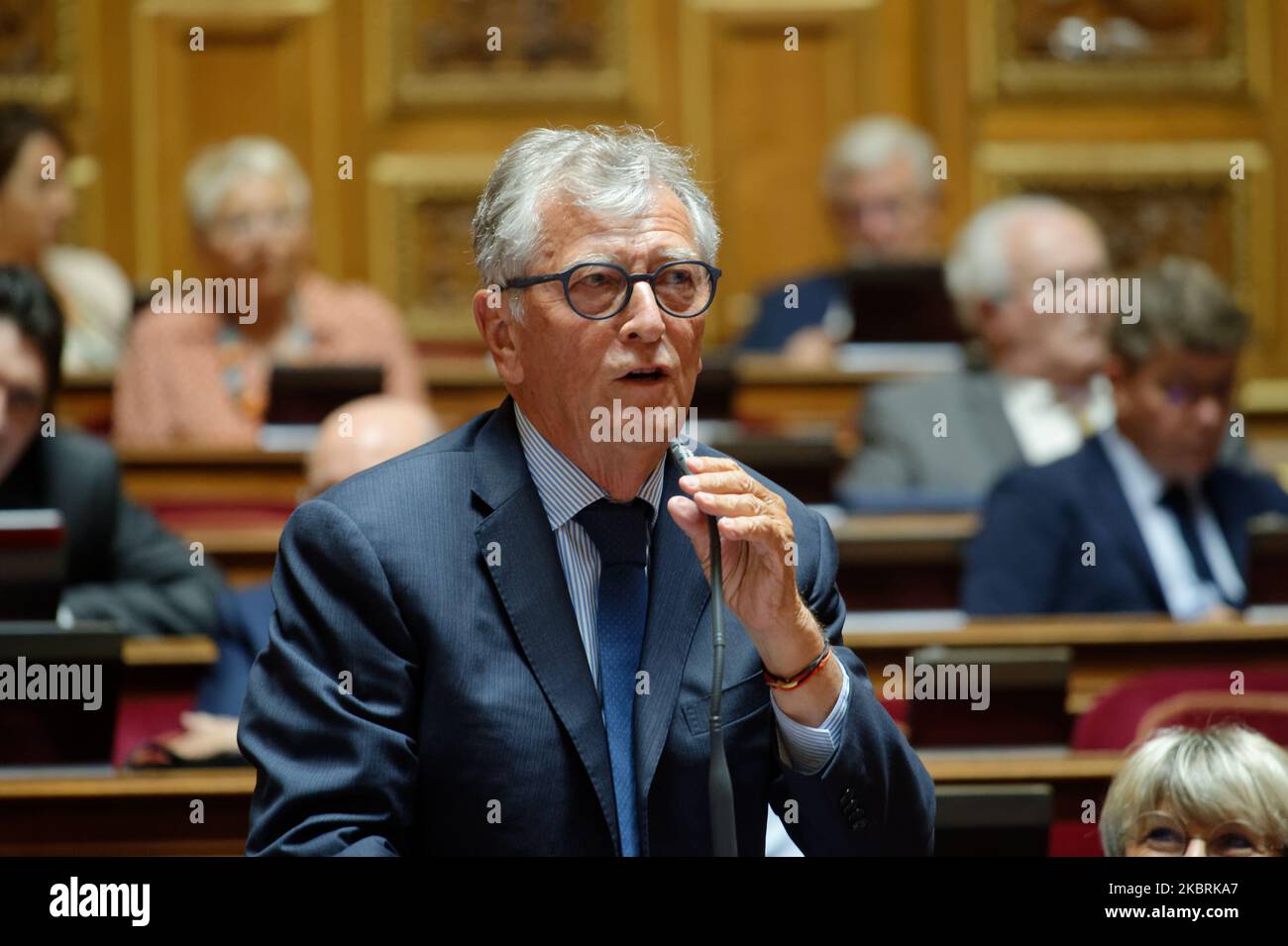 Der französische Senator Yvon Collin spricht auf der wöchentlichen Fragestunde für die Regierung im französischen Senat - 24. Juni 2020, Paris (Foto: Daniel Pier/NurPhoto) Stockfoto