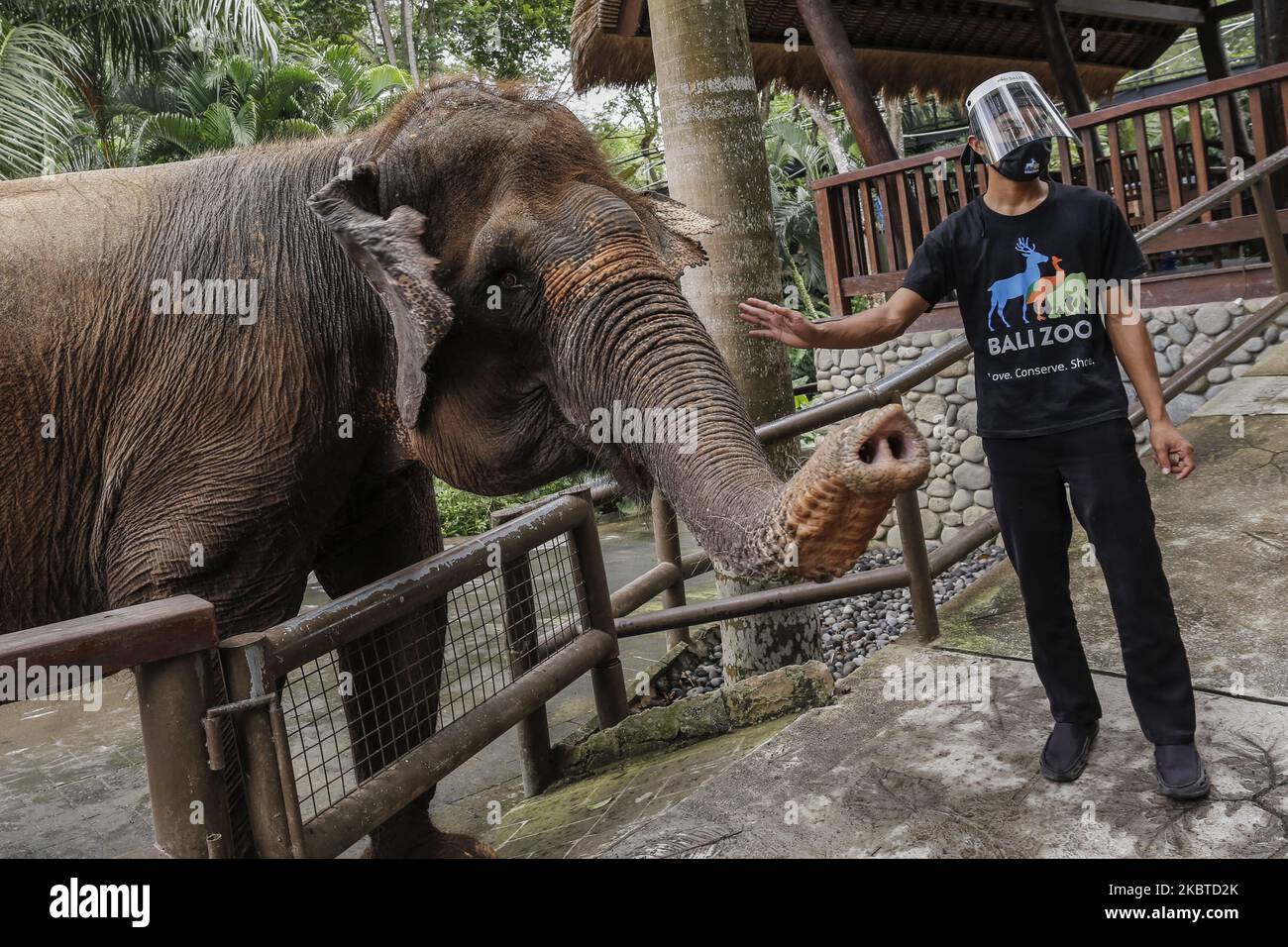 Ein Zookeeper trägt Gesichtsschutz und Maske während der neuen normalen Ära im wiedereröffnen Bali Zoo, Bali, Indonesien am 11 2020. Juli. Die Regierung hat den Tourismus und den öffentlichen Raum schrittweise durch die Anwendung von Gesundheitsprotokollen eröffnet, um die Ausbreitung der Coronavirus-Krankheit zu verhindern (Covid-19). Die erste Etappe ist für den lokalen Tourismus geöffnet und soll am 2020. September für den internationalen Tourismus eröffnet werden. (Foto von Johanes Christo/NurPhoto) Stockfoto