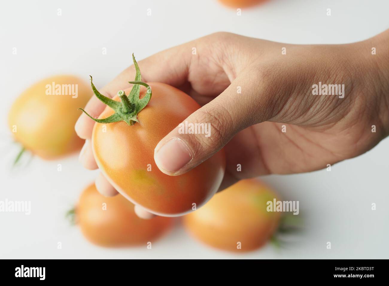Nahaufnahme der Hand, die eine reife Tomate mit verschwommenem Hintergrund hält, essbare Beeren isoliert auf weißem, selektivem Fokus Stockfoto