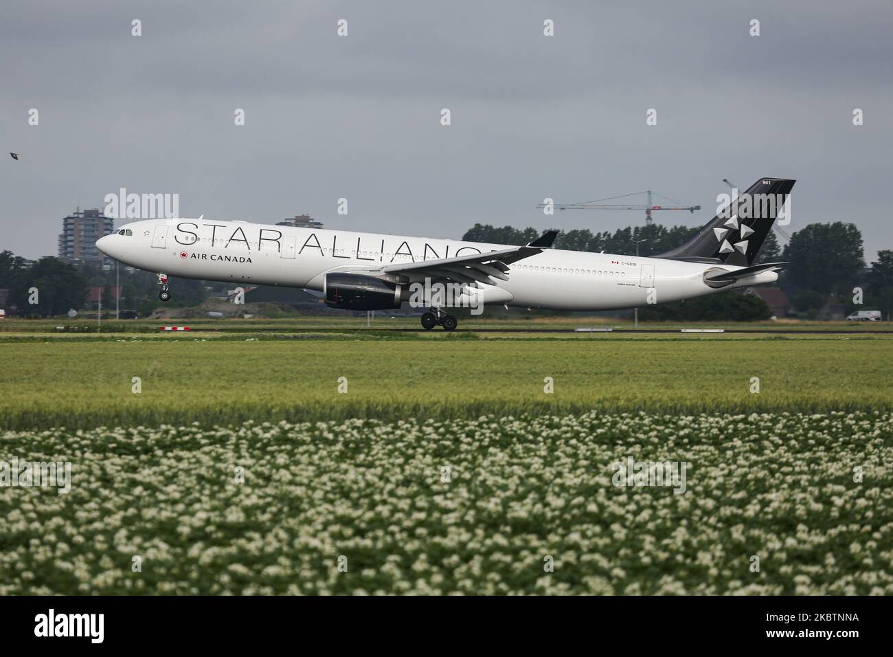 Air Canada Airbus A330-Flugzeuge mit einem speziellen Lackierung-Schema des Star Alliance Aviation Teams, das am 2. Juli 2020 beim endgültigen Anflug, bei der Landung und bei der Landung auf der Start- und Landebahn des Amsterdam Schiphol AMS EHAM International Airport in den Niederlanden eintraf. Das Großraumflugzeug, das transatlantisch fliegt, ist ein Airbus A330-300 mit der Registrierung C-GEGI, mit 2x RR Rolls Royce Düsenmotoren. Das Flugzeug wird umgebaut und fliegt als Frachtfrachttransport von Kanada nach Europa und zurück mit einer Konfiguration von 6 Besatzungsplätzen, wegen der Covid-19 Coronavirus-Pandemie. (Foto von Nicolas Stockfoto