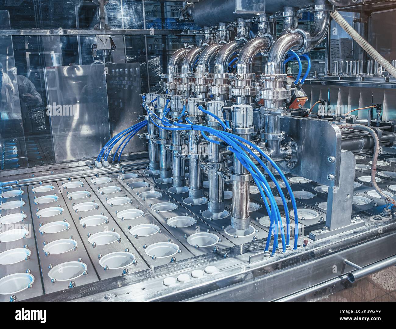 Installation zum Gießen von Joghurt in Plastikbecher im Milchwerk. Lebensmittelindustrie. Stockfoto