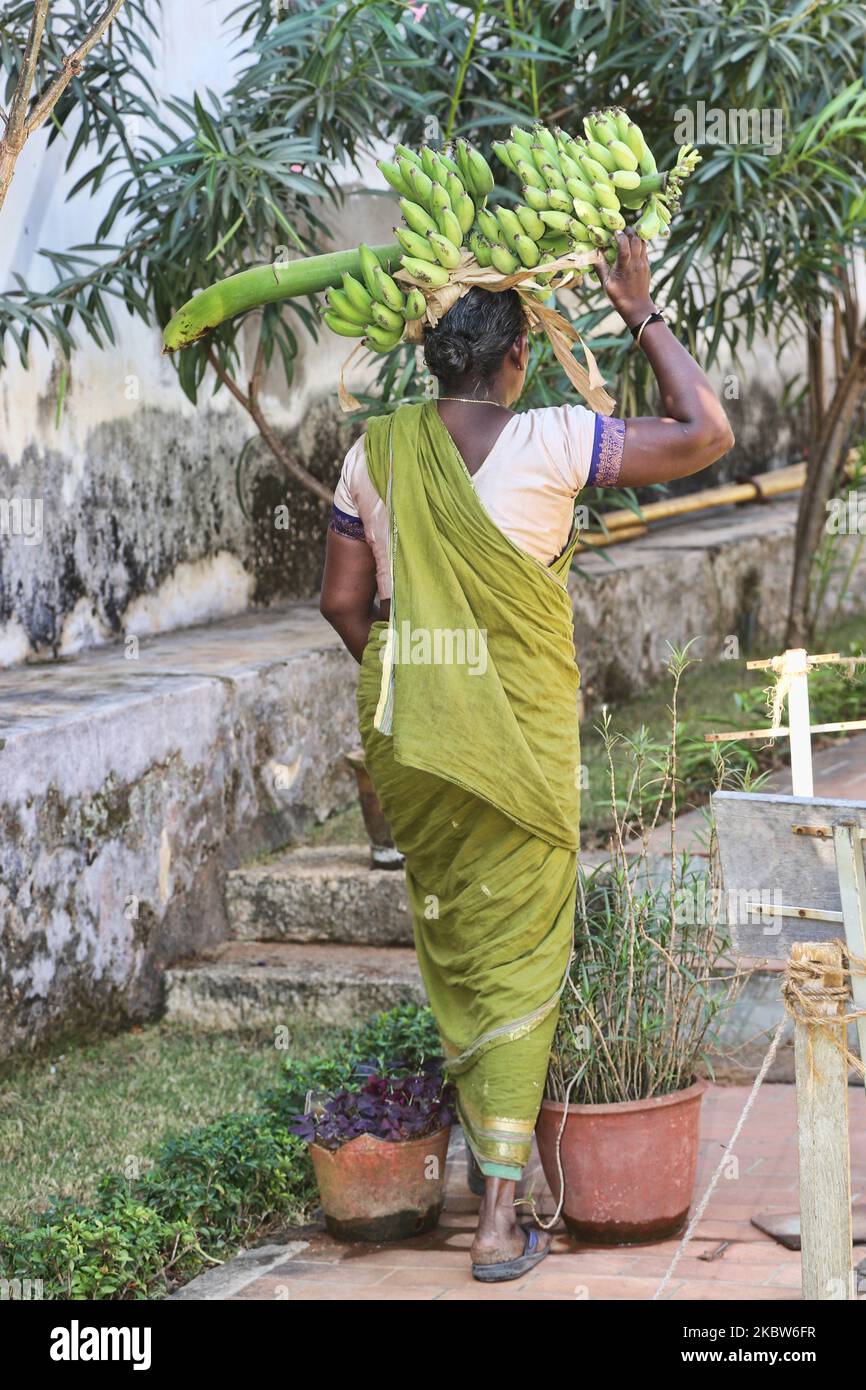 Tamilische Frau trägt am 12. Februar 2020 auf dem Gelände des Königlichen Palastes von Padmanabhapuram in Padmanabhapuram, Tamil Nadu, Indien, einen großen Haufen Bananen auf ihrem Kopf. (Foto von Creative Touch Imaging Ltd./NurPhoto) Stockfoto