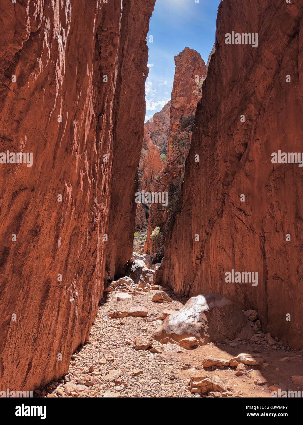 Eine vertikale Aufnahme des Standley Chasm im Northern Territory, Australien Stockfoto