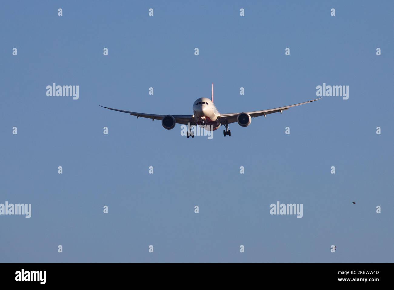 Air India Boeing 787 Dreamliner-Flugzeuge, wie sie am 19. März 2020 beim endgültigen Anflug auf dem internationalen Flughafen London Heathrow LHR EGLL in England, Großbritannien, zu sehen waren. Das moderne und fortschrittliche B787-8-Flugzeug hat die Zulassung VT-ANM und wird von 2x GEnx-1B-Triebwerken angetrieben. AirIndia AI AIC ist die Flaggonfluggesellschaft Indiens mit Hauptsitz in Neu-Delhi und Hauptdrehscheibe am Flughafen Delhi Indira Gandhi DEL, die Fluggesellschaft ist in Regierungsbesitz und Mitglied des Luftfahrtteams der Star Alliance. Am 7. August 2020 hatte eine Air India-Tochtergesellschaft, Air India Express Flug Nr. AXB1344, einen Unfall, der die r Stockfoto