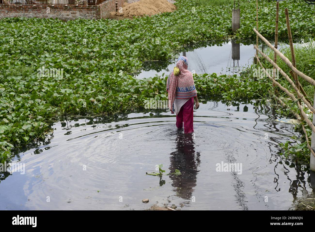 Eine Frau geht am 8. August 2020 im Lowland-Gebiet der Stadt Dhaka in Bangladesch durch das Hochwasser (Foto: Mamunur Rashid/NurPhoto) Stockfoto