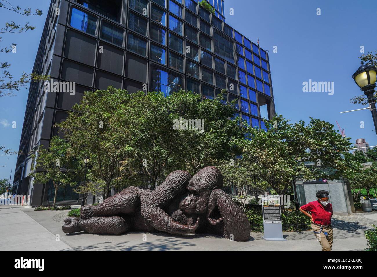 Eine Ansicht einer massiven Gorilla-Skulptur von Gillie und Marc Schattner im Bella Abzug Park von Hudson Yards, New York City, am 25. August 2020. Das neue Werk mit dem Titel King Nyani (Suaheli für Gorilla) wird zwei bis drei Menschen in seiner Hand eindrucksvoll unterbringen können. (Foto von John Nacion/NurPhoto) Stockfoto