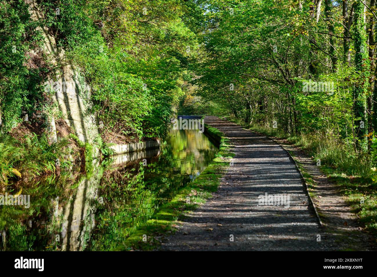 Die Menschen genießen die spätherbstliche Sonne am Llangollen-Kanal in Clwyd, Wales. Auch Anfang November bleiben viele Blätter grün und auf den Bäumen. Stockfoto