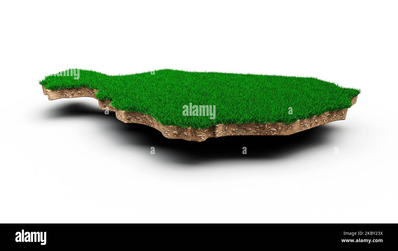 Eine Darstellung der geologischen Karte von Niger aus dem Jahr 3D mit grünem Gras und Gesteinsboden Stockfoto