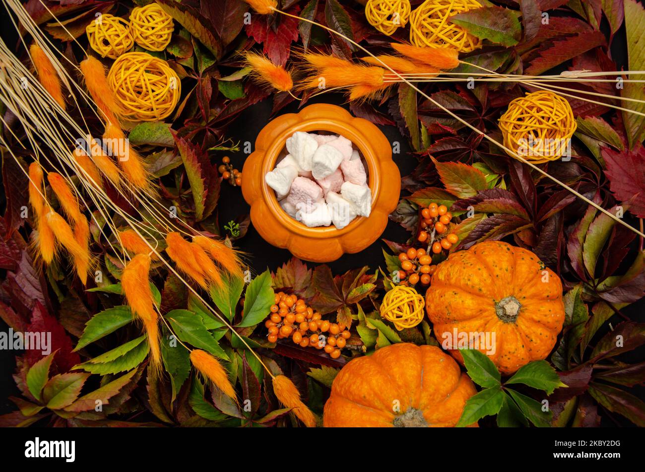 Thanksgiving gefüllt Herbst festlichen Tisch Hintergrund mit Kürbis Draufsicht Äste von Sanddornbeeren ein Kürbis-förmigen Topf Stockfoto