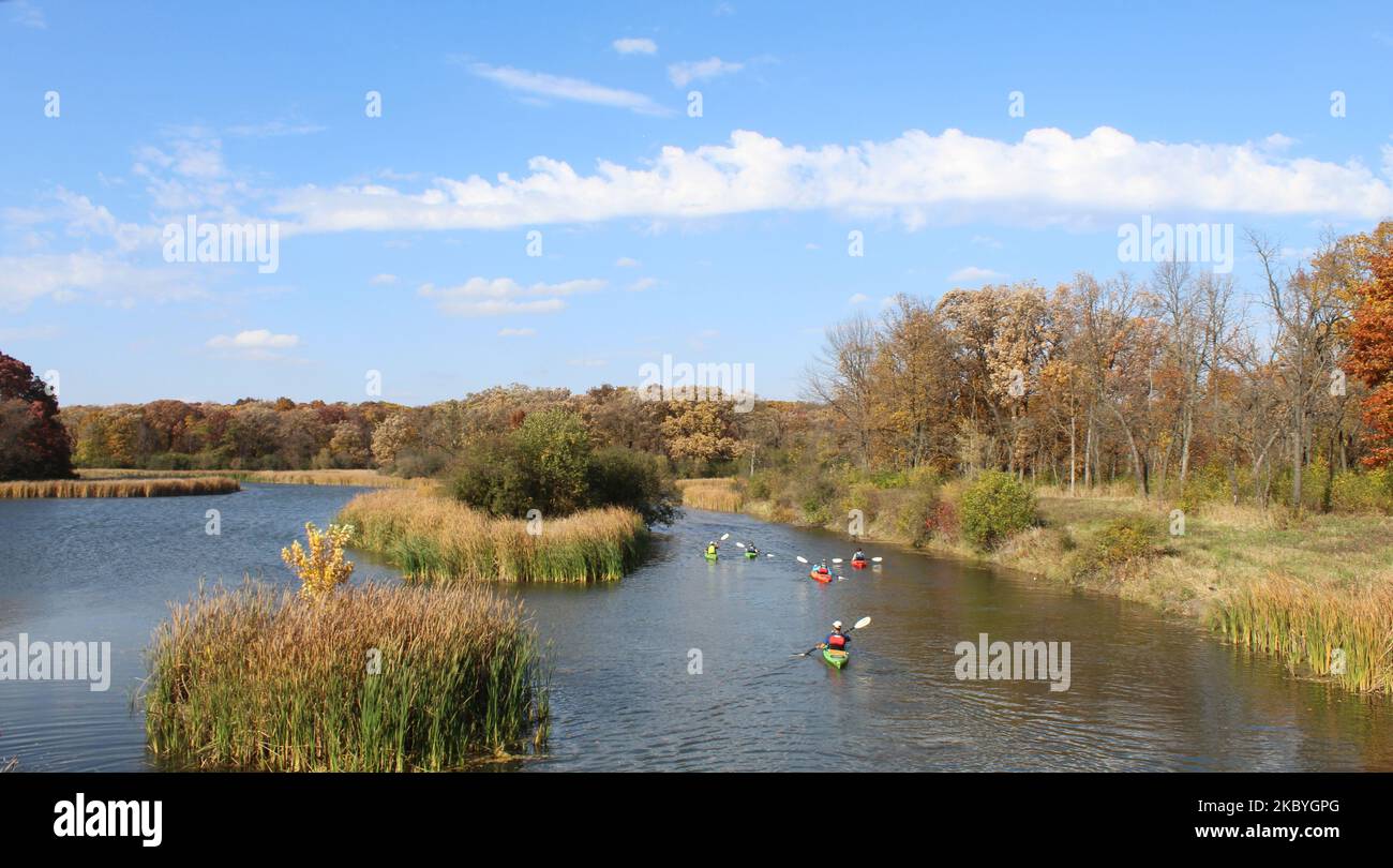 Große Gruppe von Kajakfahrern in Salt Creek im Herbst in Busse Woods in Elk Grove, Illinois Stockfoto