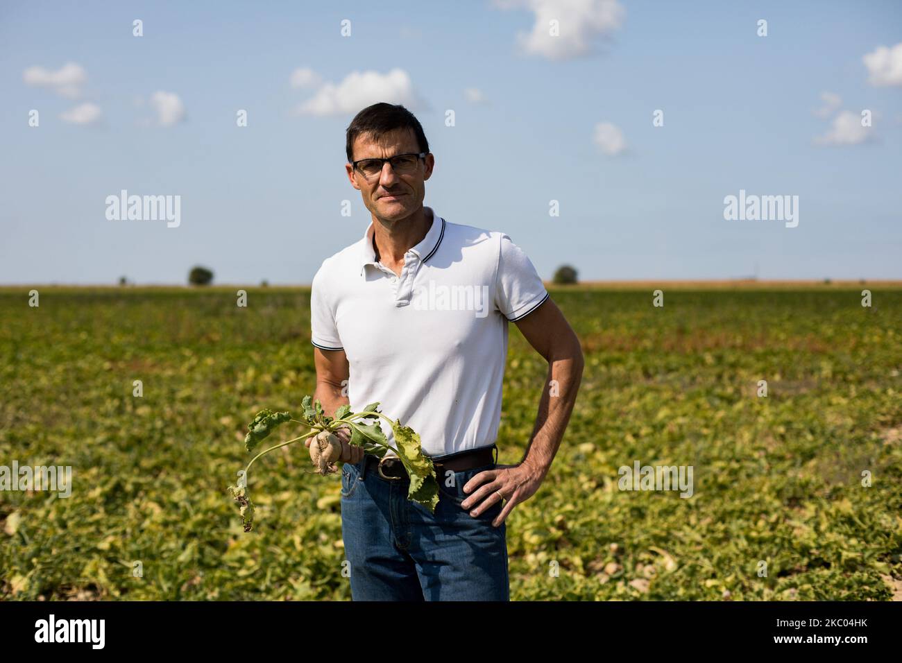 Porträt von Sebastien Dromigny in seiner Rübenfarm. Das Rübenvergilbungsvirus kann Ertragsverluste von bis zu 30 % und 50 % verursachen und die Zukunft der Branche unmittelbar gefährden. Am 11. September 2020 in Saint-Just-en-Brie, Frankreich. (Foto von Emeric Fohlen/NurPhoto) Stockfoto