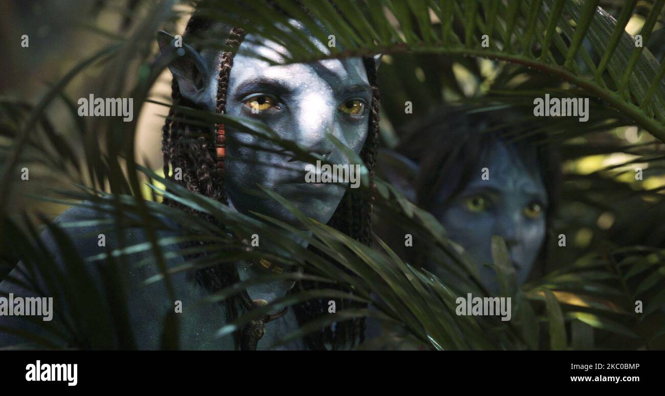 Avatar der Weg des Wassers Stockfoto