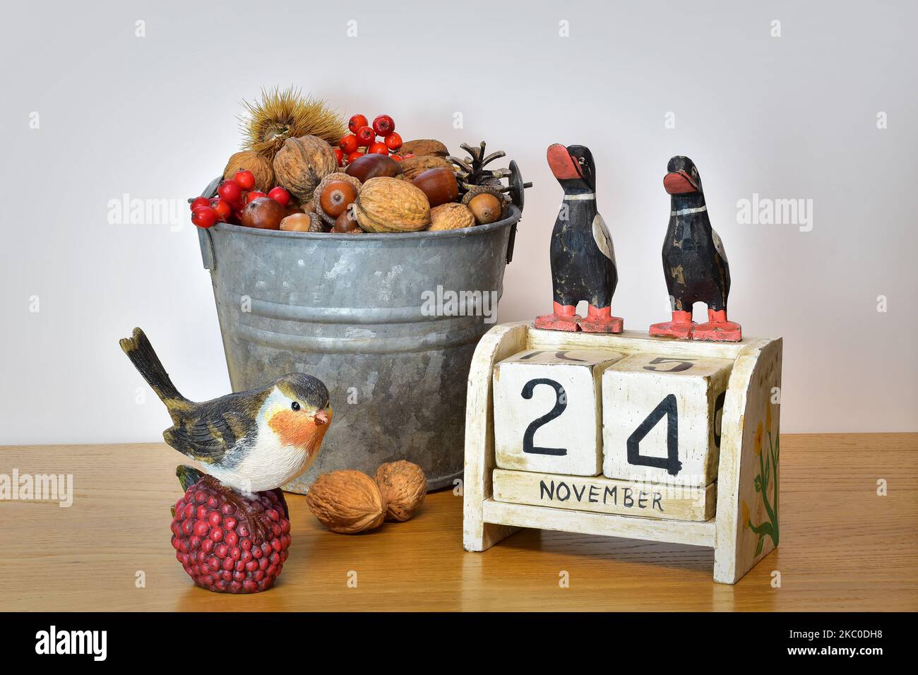 November 24 Datumsblock Kalender Herbst Zusammensetzung Landhausstil Eimer voller Walnüsse und Kastanien, Rotkehlchen, Herbst Dekoration. Thanksgiving 2022 USA Stockfoto