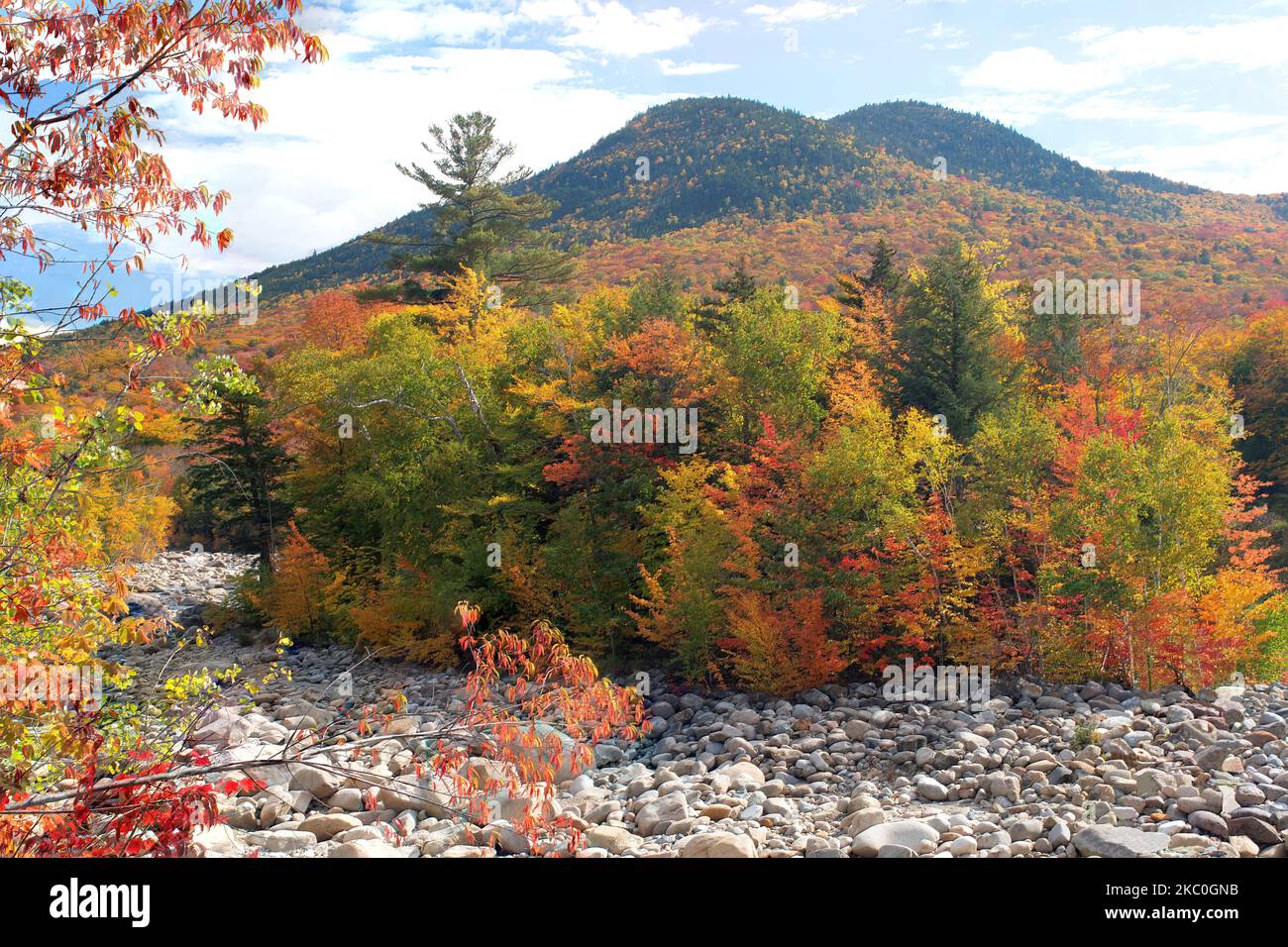 Herbstszene in den White Mountains von New Hampshire. Lebendiges Herbstlaub, felsiges Flussbett des Pemigewasset River und zwei abgerundete Gipfel des Black Mountain. Stockfoto