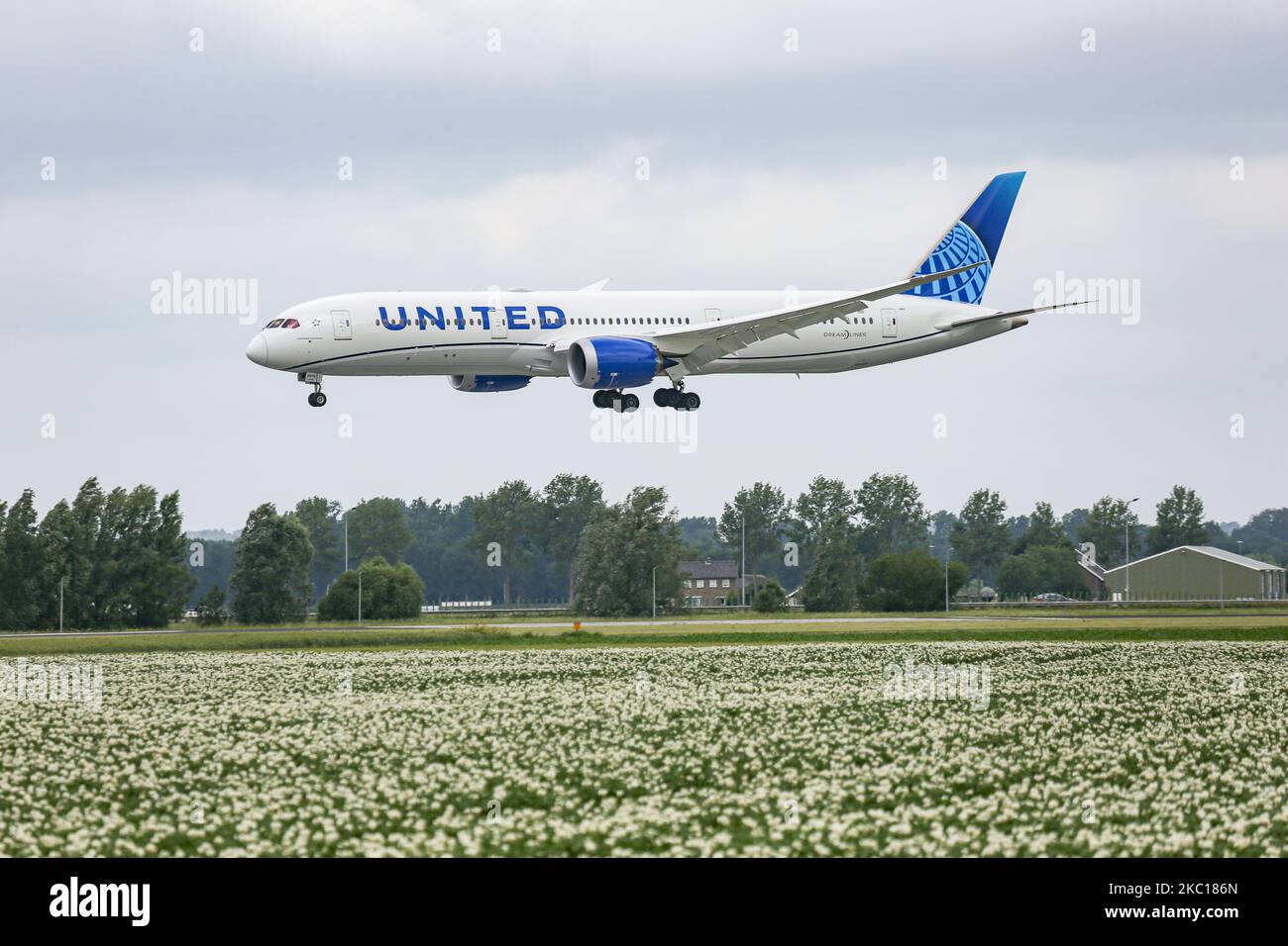 United Airlines Boeing 787-9 Dreamliner-Flugzeuge, gesehen beim endgültigen Anflug und der Landung auf der Start- und Landebahn Polderbaan im niederländischen Amsterdam Schiphol AMS EHAM Airport, der am 30. August 2020 aus Newark EWR New York, NY, USA, eintraf. Das moderne Großkörperflugzeug hat die neue Lackierung und die Zulassung N24976 und 2x GE Jet-Motoren. United UA UAL ist die drittgrößte Fluggesellschaft der Welt und Mitglied der Luftfahrtallianz Star Alliance. United verbindet die USA mit Europa und den Niederlanden mit Fracht- und Passagierflügen während der Covid-19-Coronavirus-Pandemie. Stockfoto