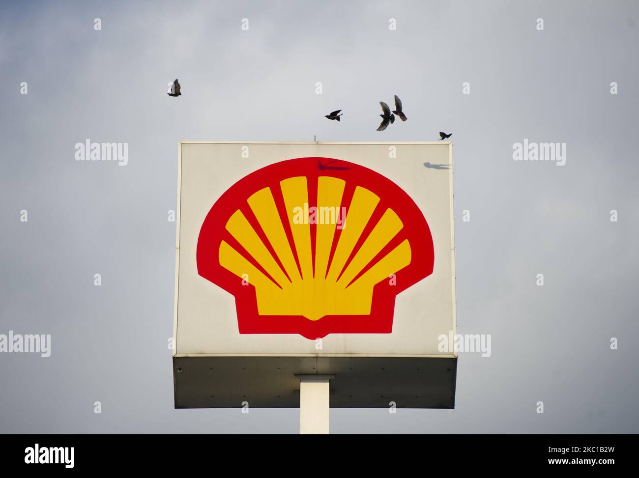Vögel fliegen über ein britisch-niederländisches Öl- und Gasunternehmen Royal Dutch Shell Plc Schild am 7. Oktober 2020 in Warschau, Polen. Wird am 7. Oktober 2020 in Warschau, Polen, gesehen. (Foto von Aleksander Kalka/NurPhoto) Stockfoto