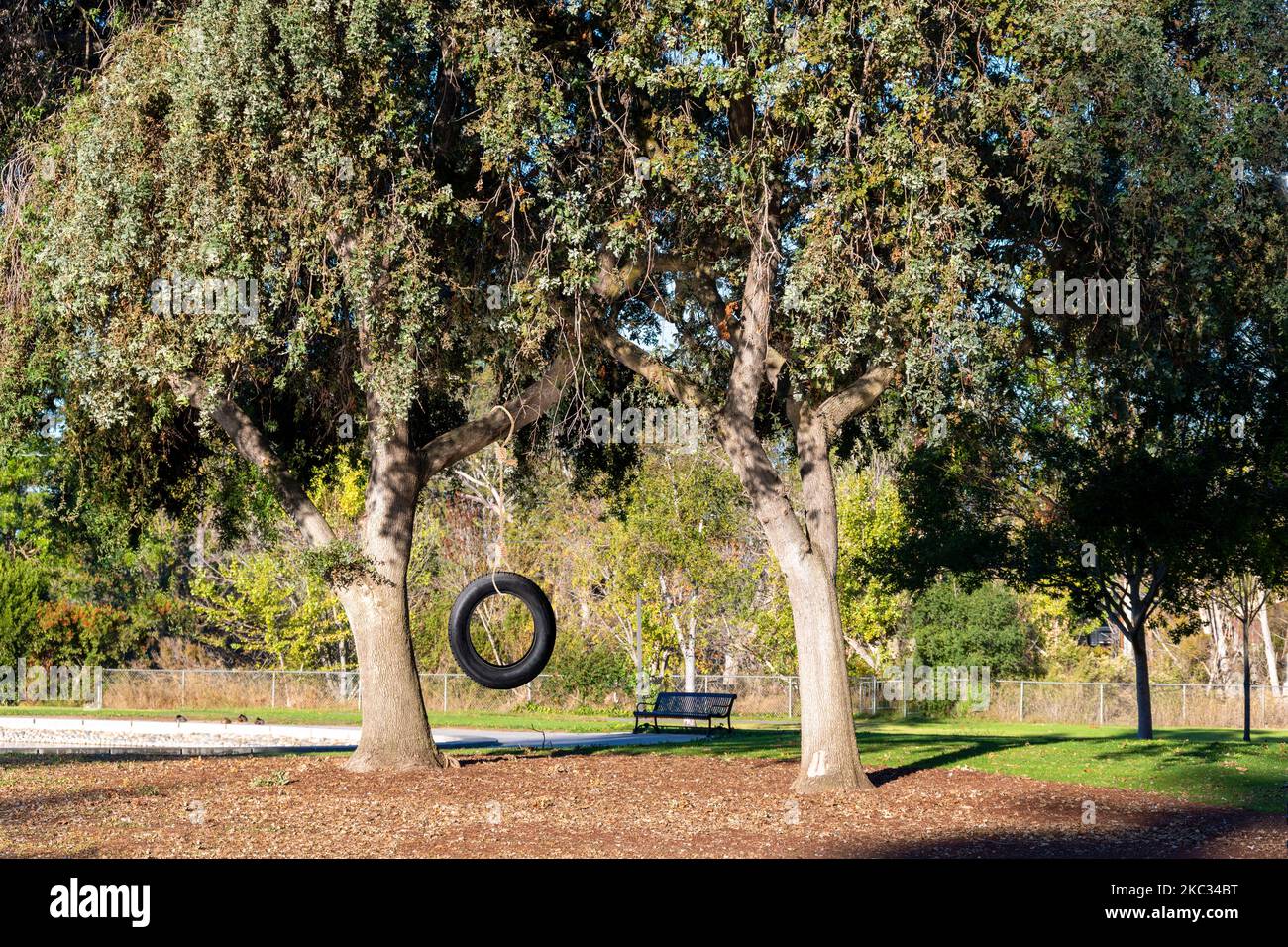 Gummireifenschaukel hängt an einem Baum in einem Park. Konzept der glücklichen Kindheit, Nostalgie, Erinnerung, Heimat. Stockfoto
