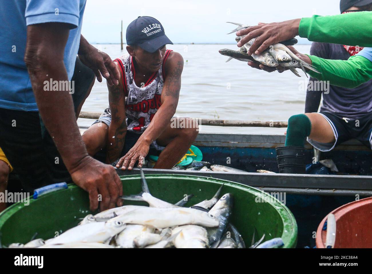 Wegen der starken Taifun Rolly verkaufen Kleinfischer in Binangonan, Rizal, Philippinen, Bangus am 2. November 2020. Der Binangonan Fish Port wird durch den Taifun Rolly zerstört. (Foto von Ryan Eduard Benaid/NurPhoto) Stockfoto