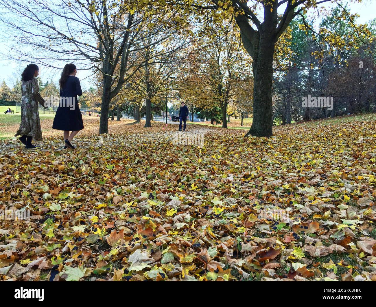 Am 07. November 2020 wandern Menschen in einem Park in Toronto, Ontario, Kanada, zwischen den Herbstblättern. Toronto erlebt das wärmste Novemberwetter der Geschichte mit Temperaturen von bis zu 20 Grad celsius. Mit dem hoch am Freitag von 20,8 Grad wurde der Rekord von 20,5 Grad Celsius im Jahr 2015 gebrochen, und die Sonnentemperaturen in Toronto werden voraussichtlich 20 Grad erreichen Dieser Trend wird sich auch in den ersten Tagen der nächsten Woche fortsetzen. (Foto von Creative Touch Imaging Ltd./NurPhoto) Stockfoto