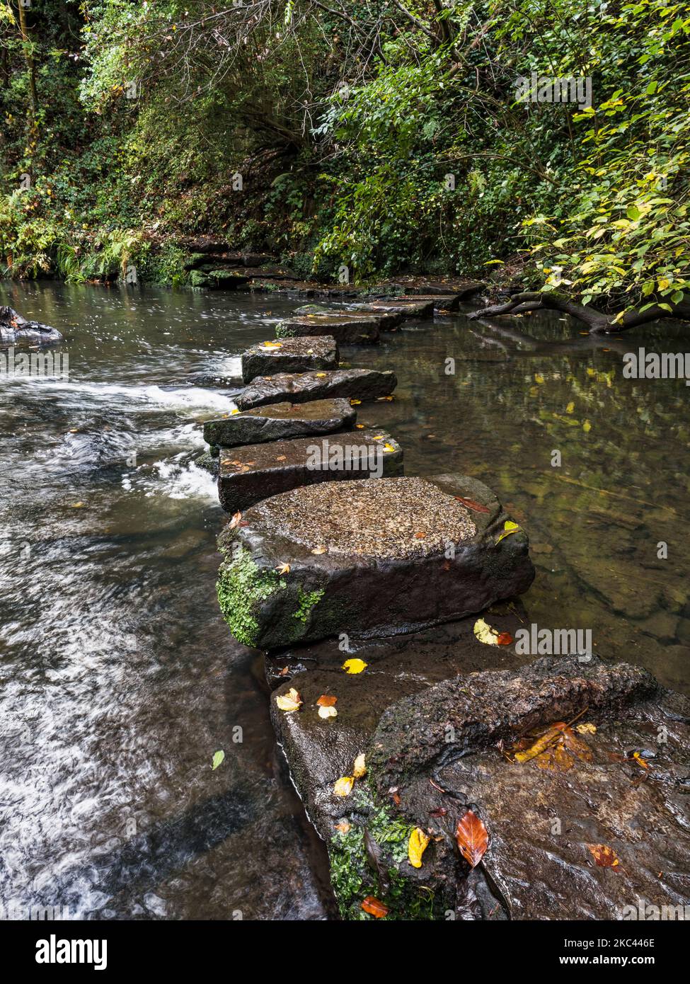 Trittsteine über den Ouseburn in Jesmond Dene, Newcastle upon Tyne, Großbritannien Stockfoto