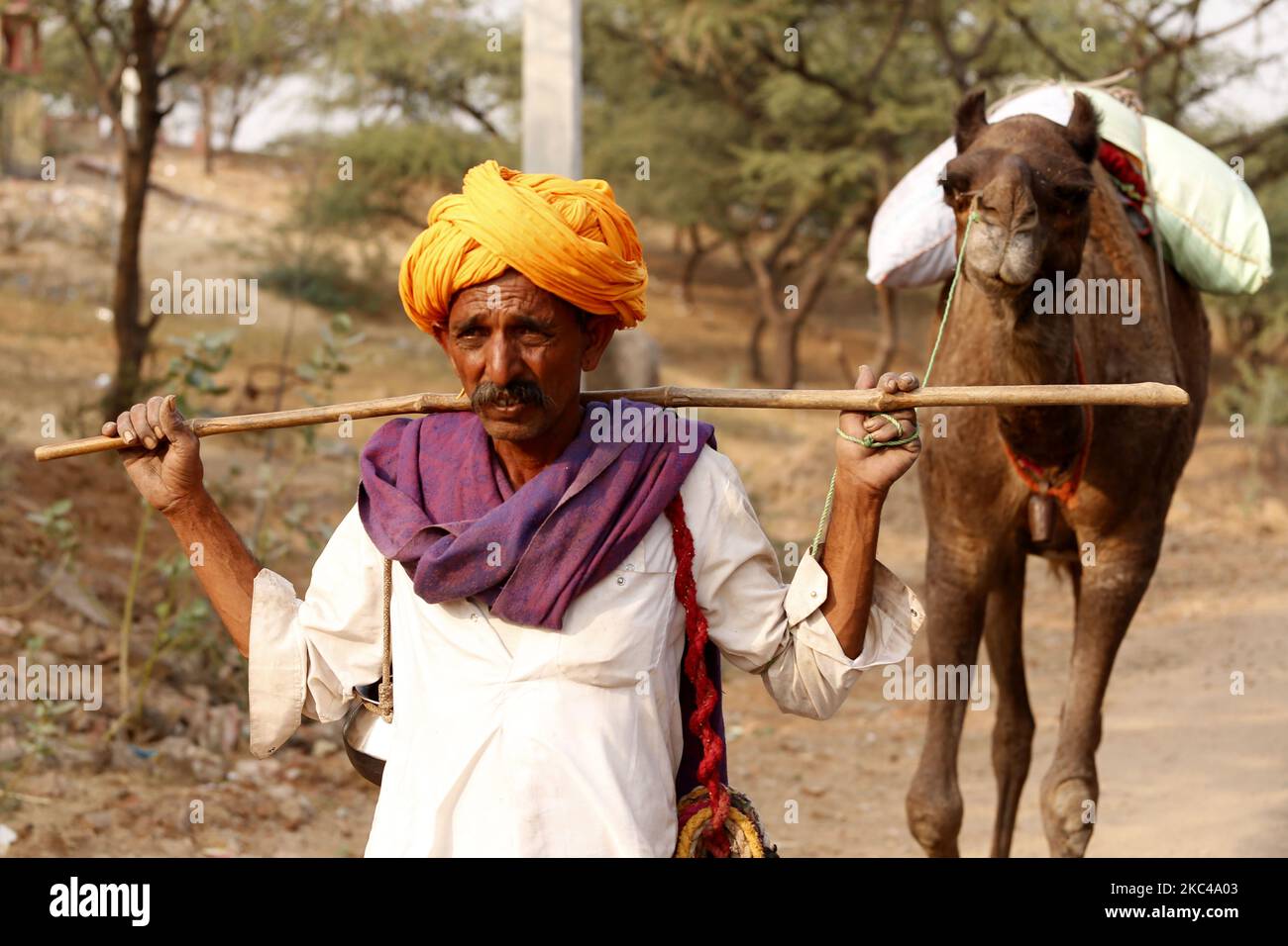 Ein indischer Kamelhändler, der am 19. November 2020 aus der Wüste von Pushkar zurückkehrt. Aufgrund der Coronavirus-Pandemie haben die Behörden die jährliche Pushkar Camel-Messe in diesem Jahr abgesetzt, aber aufgrund fehlender Informationen erreichten viele Händler den Veranstaltungsort heute. Tausende Viehhändler aus der Region kommen zum traditionellen Kamelmarkt, wo Vieh, hauptsächlich Kamele, gehandelt wird. Die jährliche Kamel- und Viehmesse ist eine der größten Kamelmessen der Welt. (Foto von Himanshu Sharma/NurPhoto) Stockfoto