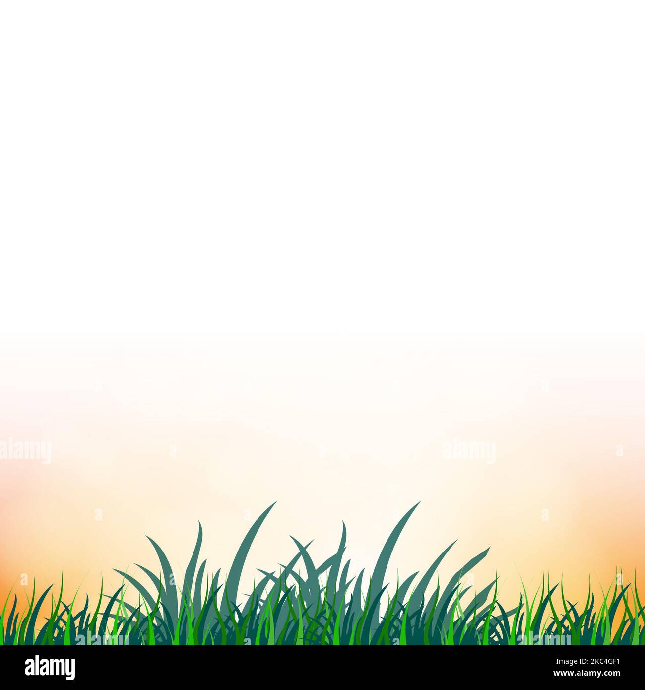 Illustration eines grünen Grasrandes auf weißem Hintergrund Stockfoto