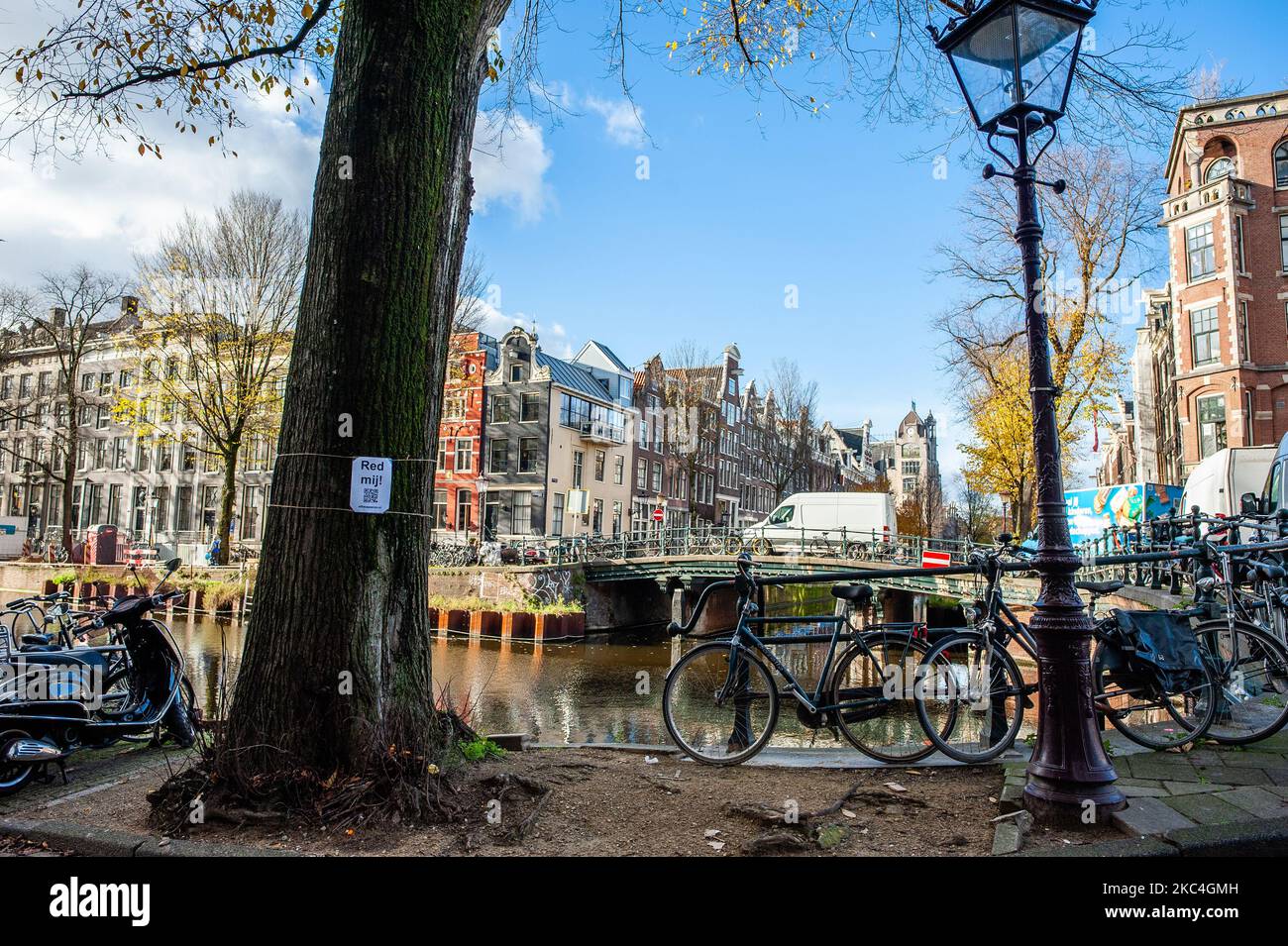 Einige der Bäume, die vom Abhauen geplakelt werden, zeigen Plakate, die auf Niederländisch sagen, rettet mich, im Zentrum von Amsterdam, am 23.. November 2020. (Foto von Romy Arroyo Fernandez/NurPhoto) Stockfoto