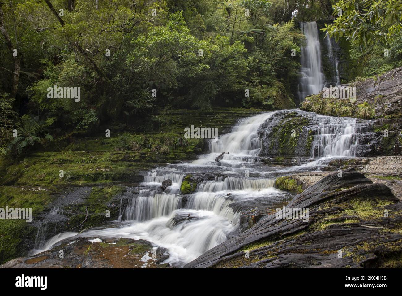 Blick auf den McLean waterfallsÂ im Catlins Forest parkÂ in CatlinÂ in der Region Otago auf der Südinsel von New ZealandÂ onÂ 24. November 2020.die Â McLeanÂ Falls sind ein 22mÂ waterfallÂ, was sie zu einem der theÂ tallestÂ im Catlins Forest Park macht. (Foto von Sanka Vidanagama/NurPhoto) Stockfoto