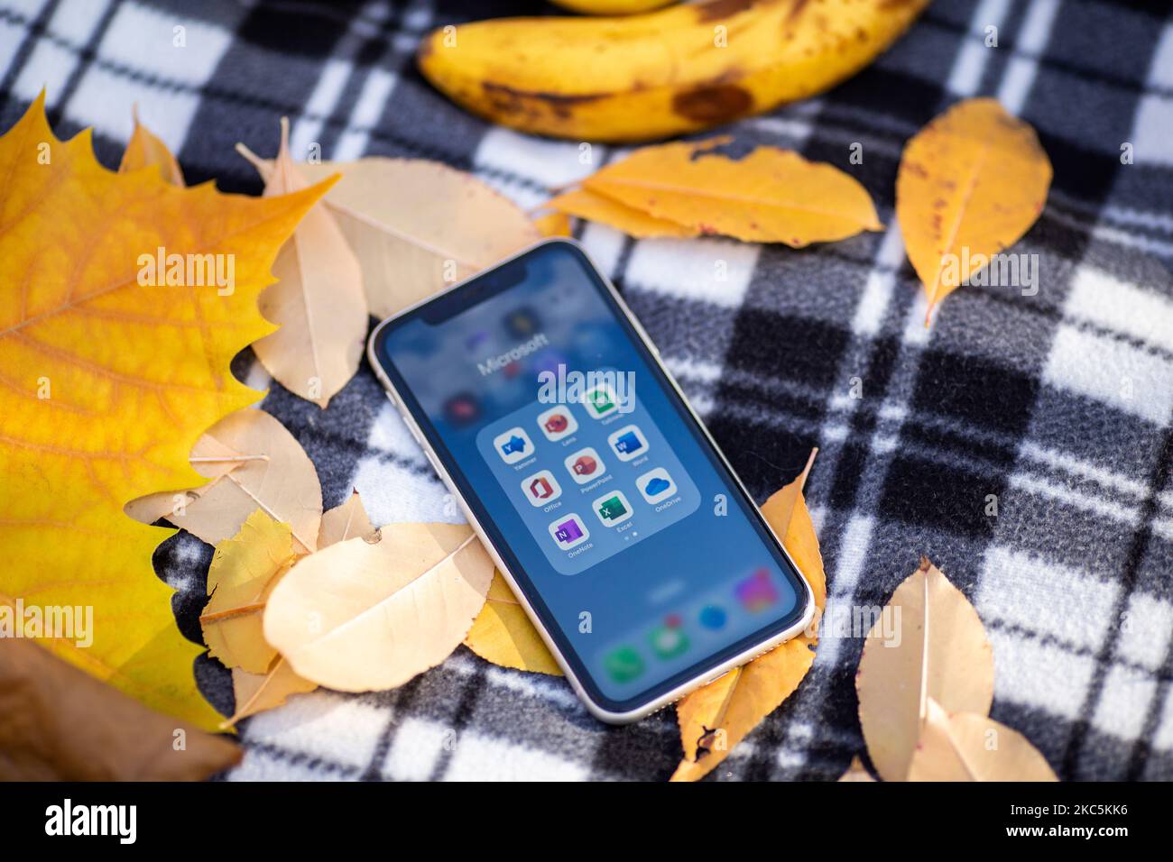 Kiew, Ukraine - 4. November 2022: Microsoft 365-Apps werden auf einem iPhone auf gelben Blättern von Bäumen gesehen - Office, Word, Excel, PowerPoint, Outlook, Eins Stockfoto