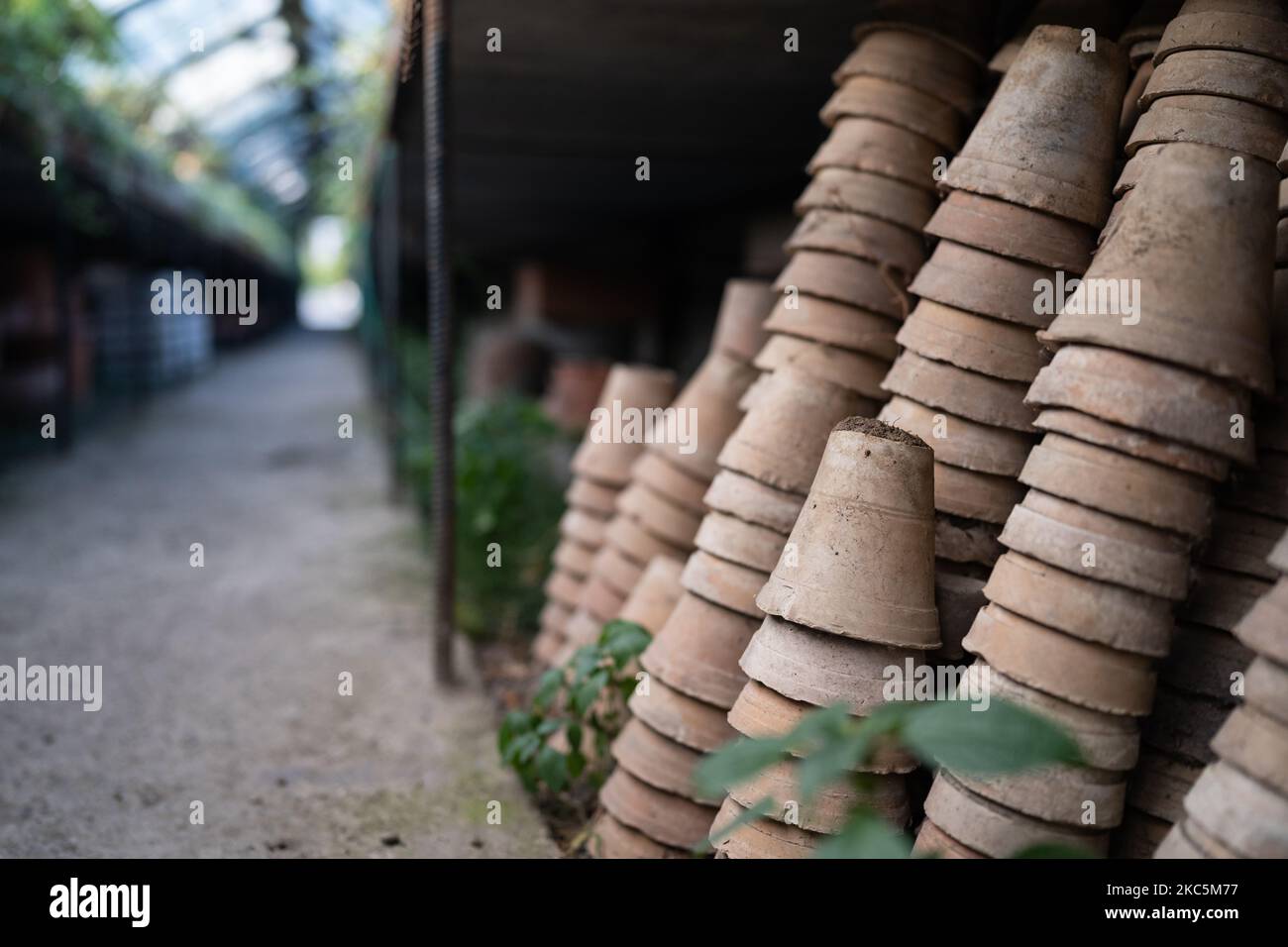 Nahaufnahme von Stapeln alter verwitterter Terrakotta-Blumentöpfe im Gartenschuppen Stockfoto