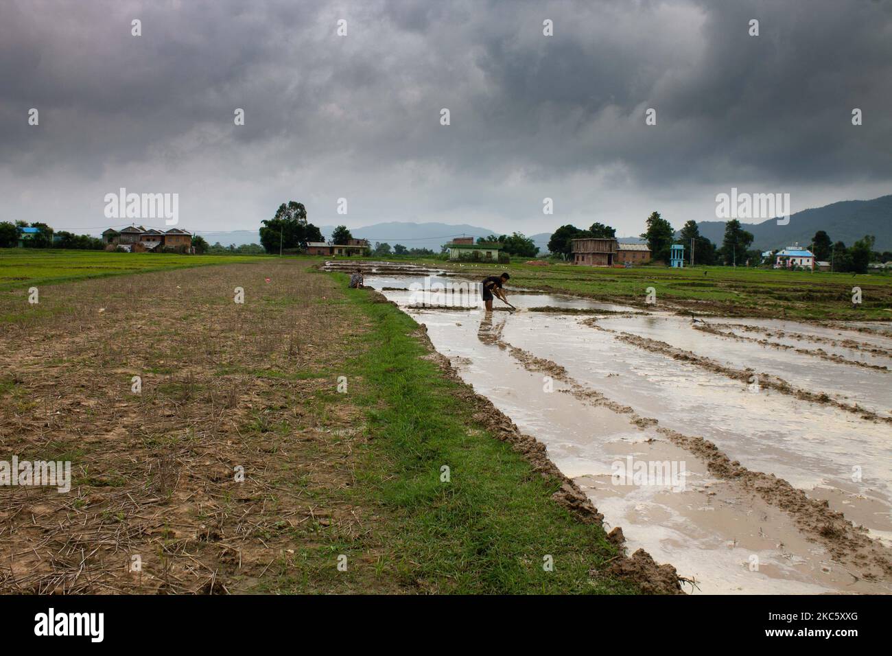 Eine Nahaufnahme eines Mannes, der an einem düsteren Tag Land kultiviert Stockfoto