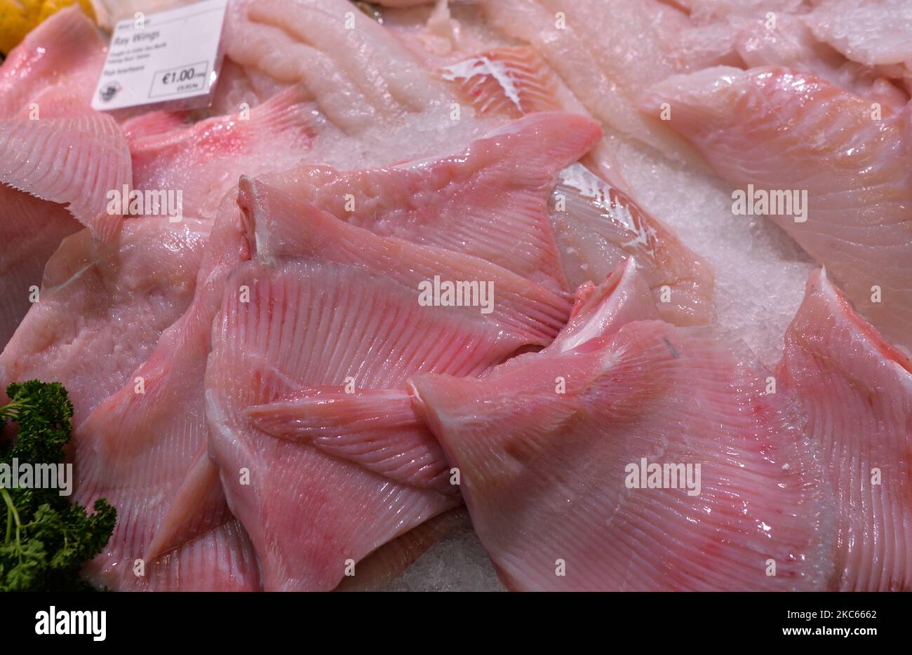 Ray Wings zum Verkauf in einem Fischgeschäft in Howth, Dublin. Nach dem Brexit wird das Vereinigte Königreich nicht mehr Teil der EU-Fischereipolitik (GFP) sein. Als unabhängiger Küstenstaat wird es in vollem Umfang für die Bewirtschaftung der Fischerei in der britischen ausschließlichen Wirtschaftszone von 200 Meilen (einschließlich der Festlegung der zulässigen Gesamtfangmengen, der Verteilung von Quoten und der Bestimmung des Zugangs zur Fischerei) verantwortlich sein. Der Zugang von EU-Schiffen zu britischen Gewässern und umgekehrt ist jedoch Teil der laufenden Verhandlungen und eines künftigen Abkommens mit der EU. Laut Patrick Murphy, CEO der Irish South and West Fish Produce Stockfoto