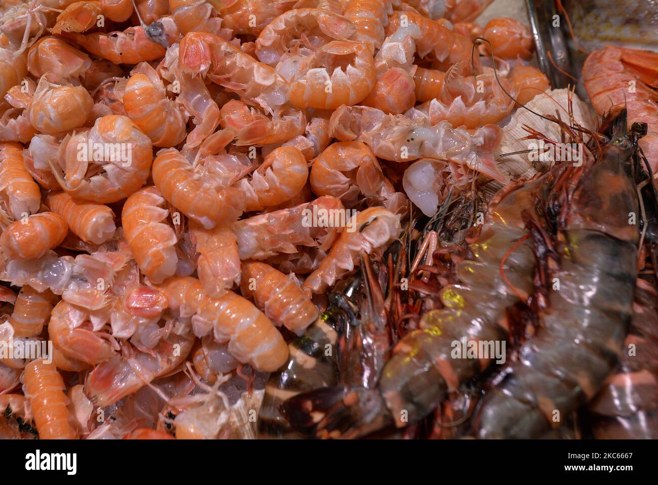 Garnelen und Langusten zum Verkauf in einem Fischgeschäft in Howth, Dublin. Nach dem Brexit wird das Vereinigte Königreich nicht mehr Teil der EU-Fischereipolitik (GFP) sein. Als unabhängiger Küstenstaat wird es in vollem Umfang für die Bewirtschaftung der Fischerei in der britischen ausschließlichen Wirtschaftszone von 200 Meilen (einschließlich der Festlegung der zulässigen Gesamtfangmengen, der Verteilung von Quoten und der Bestimmung des Zugangs zur Fischerei) verantwortlich sein. Der Zugang von EU-Schiffen zu britischen Gewässern und umgekehrt ist jedoch Teil der laufenden Verhandlungen und eines künftigen Abkommens mit der EU. Laut Patrick Murphy, Chief Executive von The Irish South and Wes Stockfoto