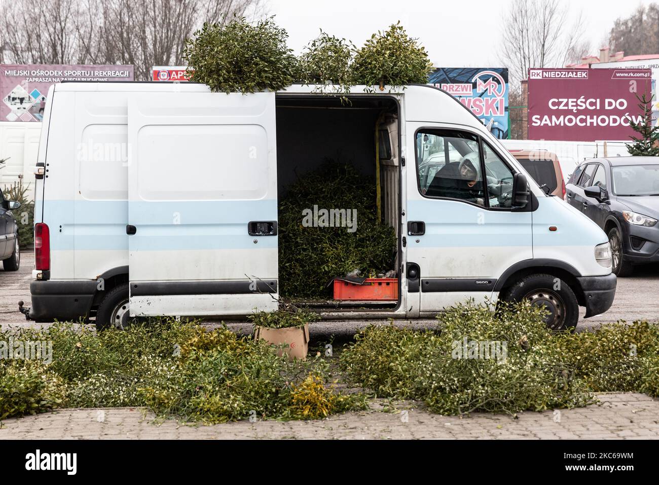 Ein Mann in einem Auto mit Schutzmaske wird gesehen, wie er an einem kalten und grauen Wintertag auf einem Straßenmarkt eine Mistel verkauft, während sich die Weihnachtsfestzeit unter teilweiser Coronavirus-Sperre am 21. Dezember 2020 in Ostrowiec Swietokrzyski, Polen, nähert. Dicke Wolken bedecken den größten Teil Europas und schaffen eine trübe Tagesatmosphäre, was die pandemische Frustration im polnischen Provinzgebiet verstärkt. (Foto von Dominika Zarzycka/NurPhoto) Stockfoto