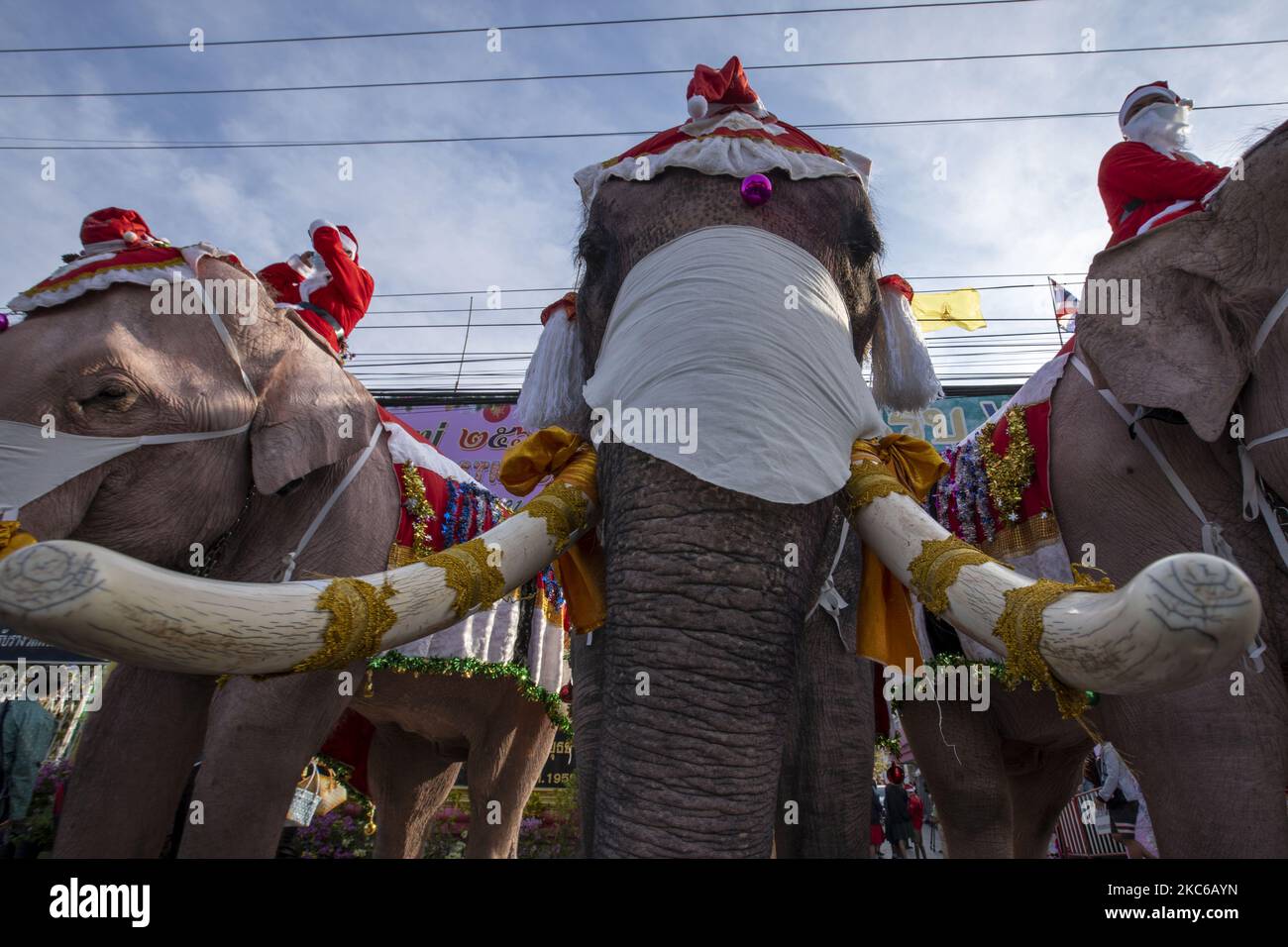 Zeigen Sie Elefanten aus einem lokalen Park in Ayutthaya, Thailand, die als Weihnachtsmann verkleidet sind, um am 23. Dezember 2020 an einer lokalen Grundschule in Ayutthaya an einer Gesichtsmaske teilzunehmen. Thailand hat in der letzten Woche einen starken Anstieg der Covid-19-Fälle erlebt, nachdem viele Monate keine lokalen Übertragungen gemeldet wurden. (Foto Adryel Talamantes/NurPhoto) Stockfoto