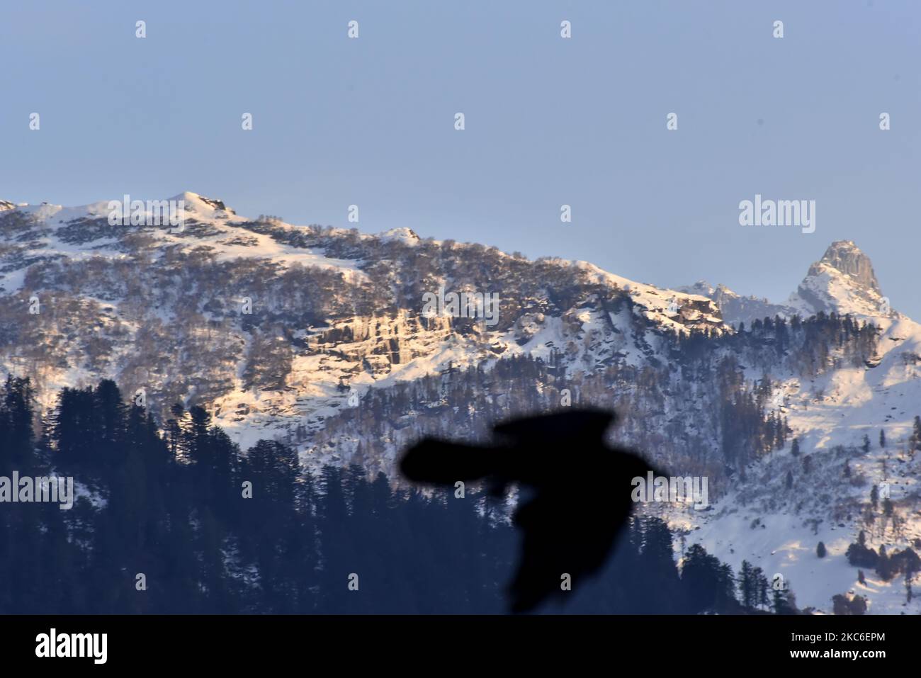 Ein Vogel fliegt an einem schneebedeckten Himalaya-Berg in Manali, Himachal Pradesh, Indien, vorbei, 25. Dezember 2020. (Foto von Indranil Aditya/NurPhoto) Stockfoto