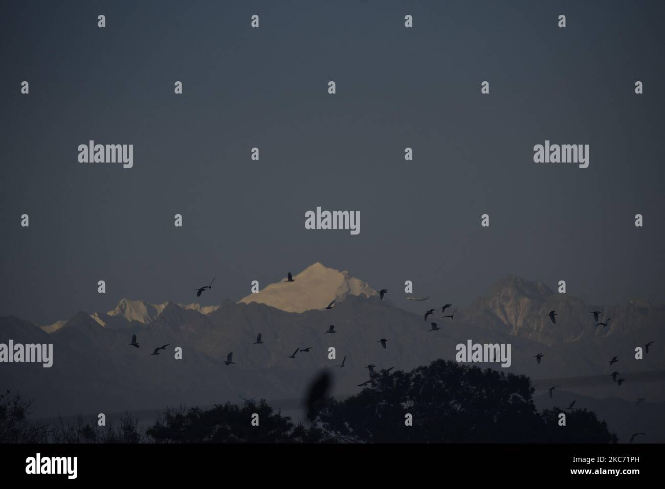 Vögel, die mit den Mount Langtang Ranges fliegen, wurden am Mittwoch, den 06. Januar 2021, nach zwei Tagen gefährlicher Luftverschmutzung in Kathmandu, Nepal, gesehen. Der AQI-Verschmutzungsgrad stieg am Montag stetig auf den gefährlichen Stand bei 606 AQI um 11:00 Uhr und am Mittwoch bei 220 AQI um 11:00 Uhr. (Foto von Narayan Maharjan/NurPhoto) Stockfoto