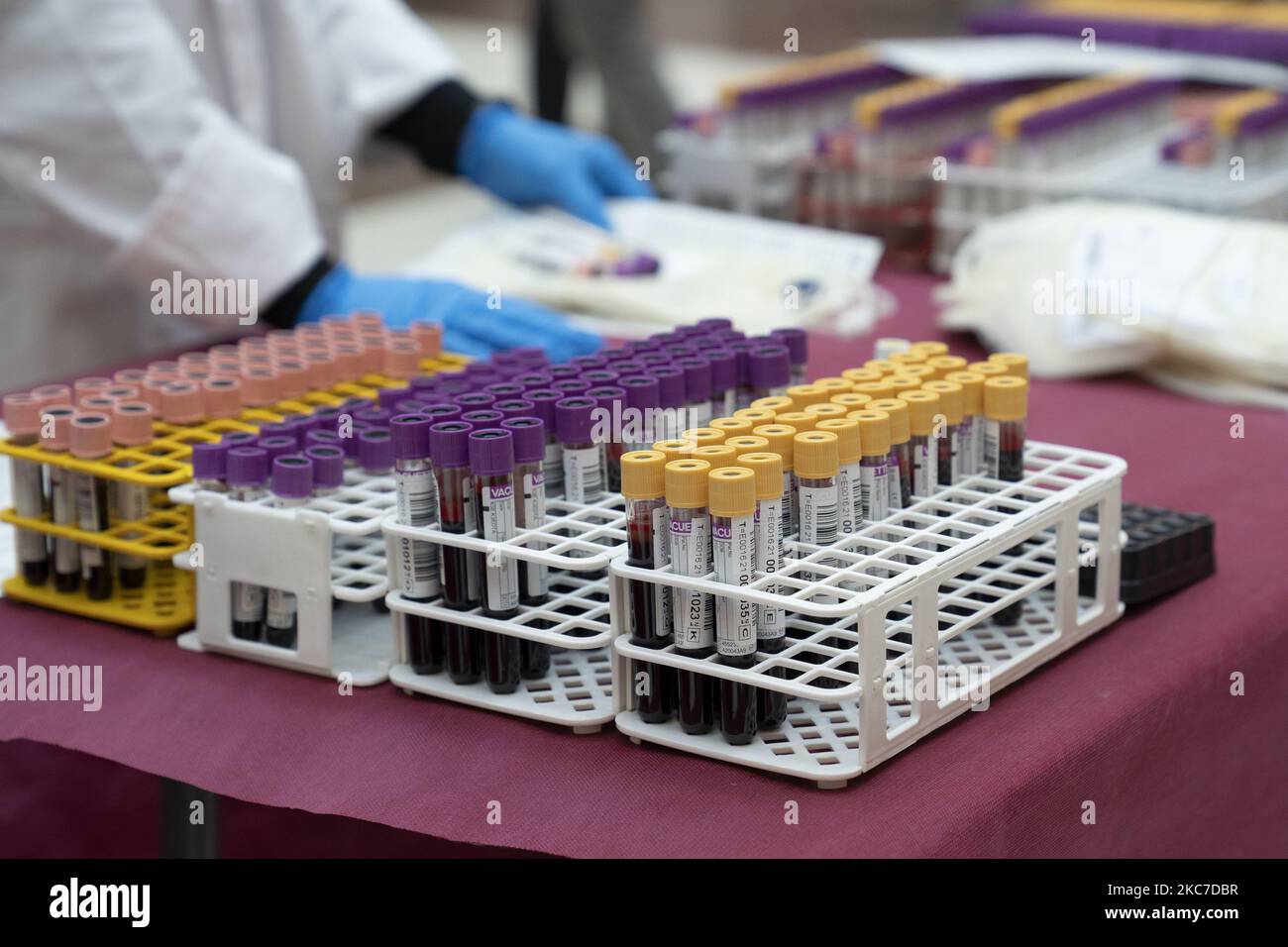 Blutspender während der Veranstaltung, die am 13. Januar 2021 stattfand, um die ersten Freiwilligen im königlichen Postamt in Madrid (Spanien) zu empfangen. Das Gerät , das in der Real Casa de Correos als Blutspendezentrum eingesetzt wurde, weil es an Reserven für alle Gruppen mangelt, was die Krankenhäuser der Region gezwungen hat, nicht dringende Operationen zu verschieben. (Foto von Oscar Gonzalez/NurPhoto) Stockfoto