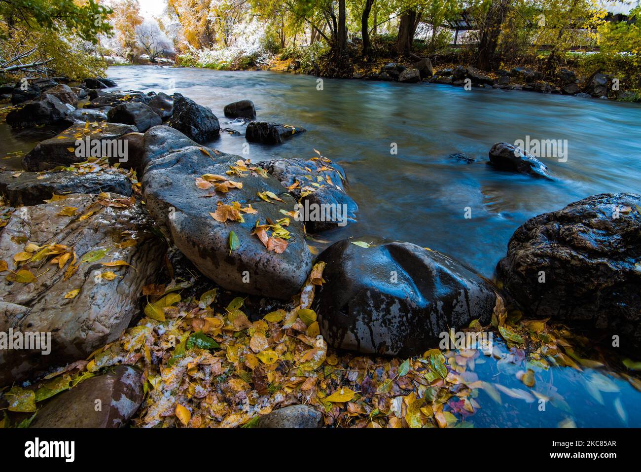 Niedriger Provo-Fluss und Herbstlaub. Der Fluss liegt östlich von Provo, Utah, USA. Er ist ein beliebtes Ziel für Fliegenfischer und Flussfloß. Stockfoto