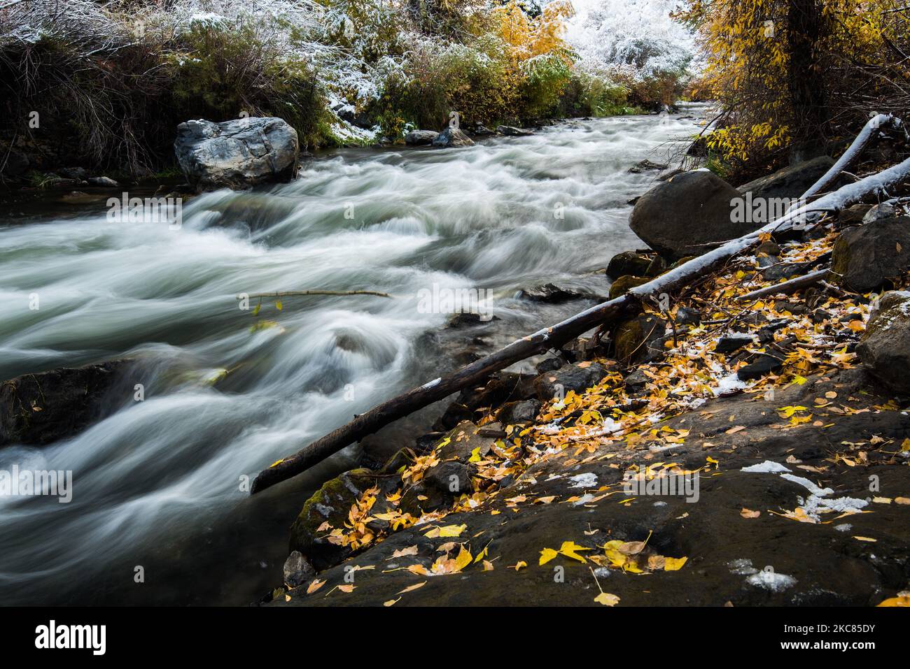 Niedriger Provo-Fluss und Herbstlaub. Der Fluss liegt östlich von Provo, Utah, USA. Er ist ein beliebtes Ziel für Fliegenfischer und Flussfloß. Stockfoto