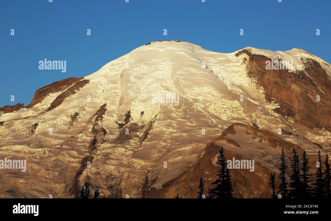 Mount Rainier wird bei Sonnenaufgang weiß - Washington Stockfoto