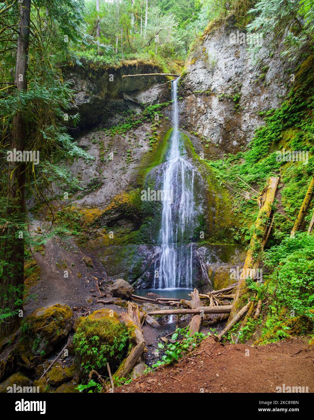 Marymere Falls, Lake Crescent Area, Olympic National Park, Washington. Stockfoto