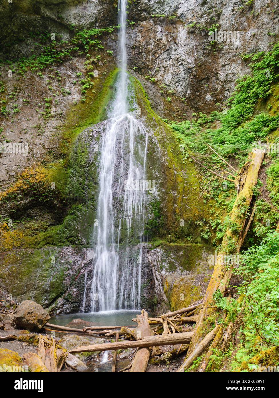 Marymere Falls, Lake Crescent Area, Olympic National Park, Washington. Stockfoto